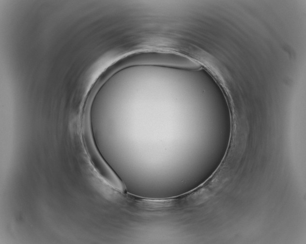 X0000110721344200906191458