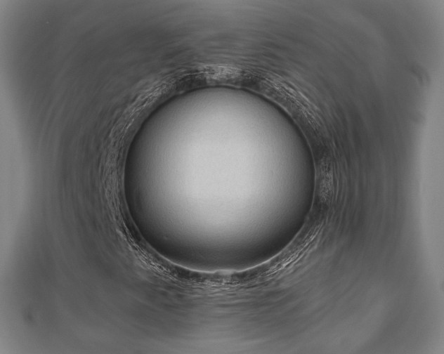 X0000110721345200906191457