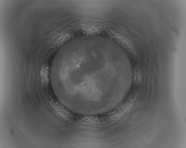 X0000110721346200906191457