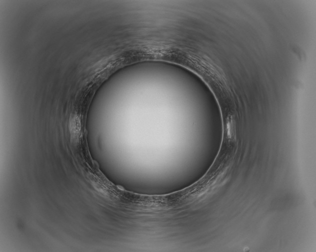 X0000110721347200906191457