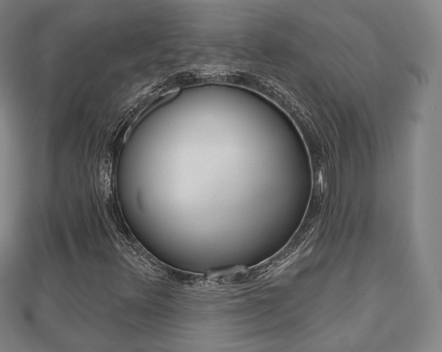 X0000110721348200906191457