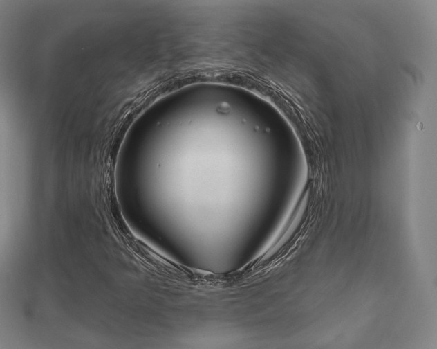 X0000110721349200906191457