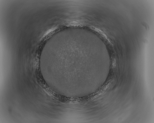 X0000110721350200906191457