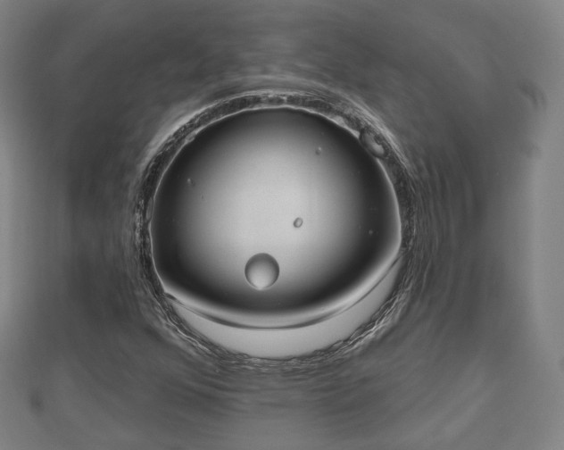 X0000110721352200906191457