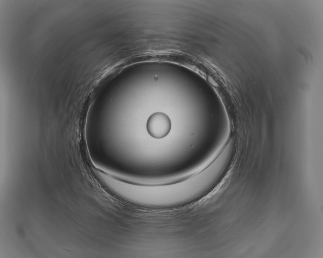 X0000110721353200906191457