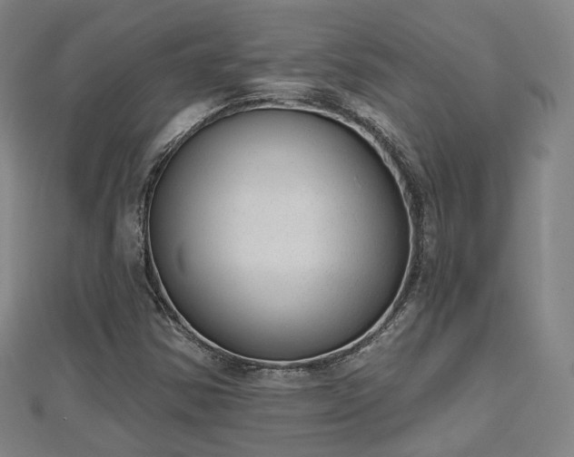 X0000110721354200906191457