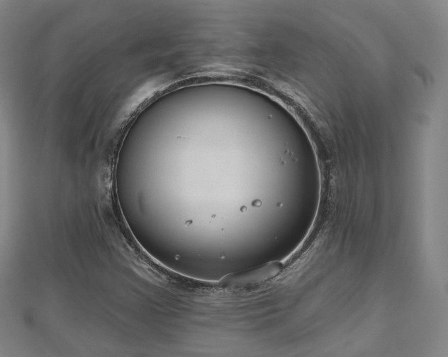 X0000110721355200906191457