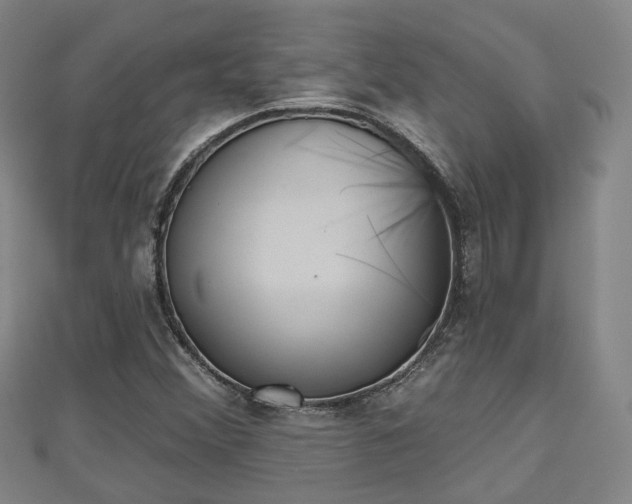 X0000110721356200906191457