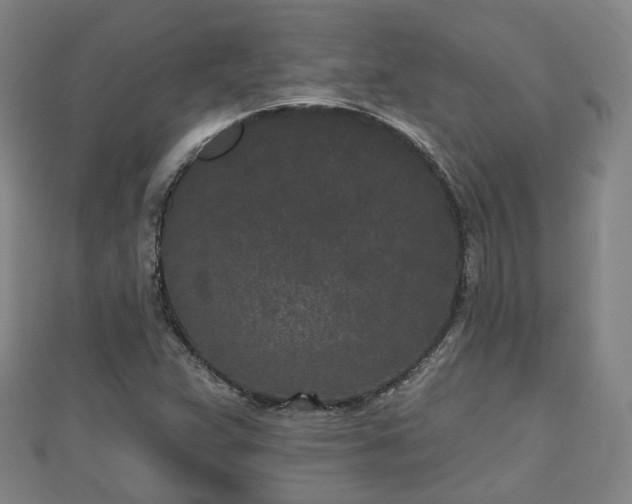 X0000110721359200906191457