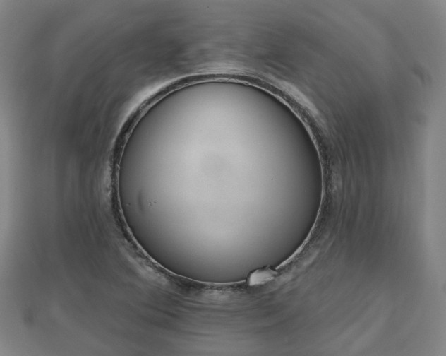 X0000110721364200906191457