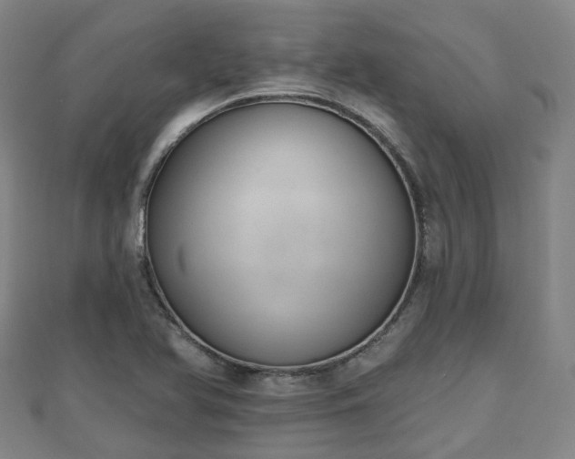 X0000110721366200906191457