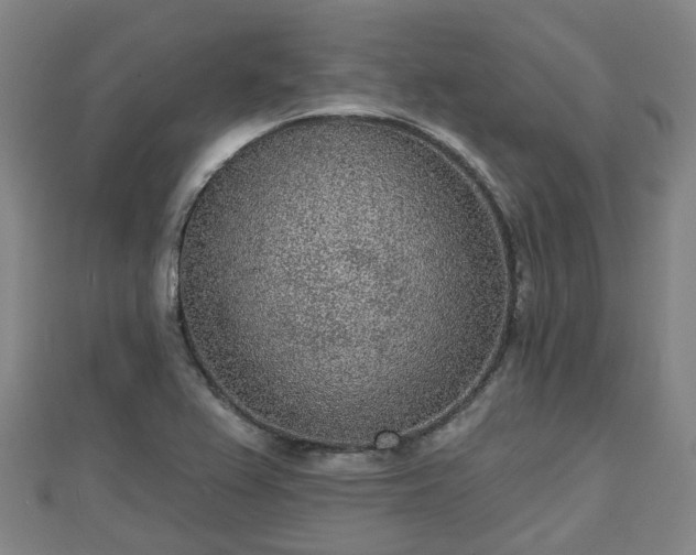 X0000110721367200906191457