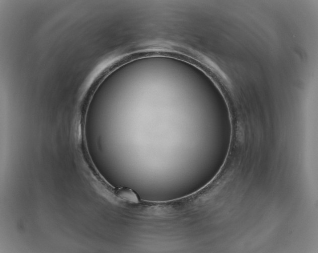 X0000110721368200906191457