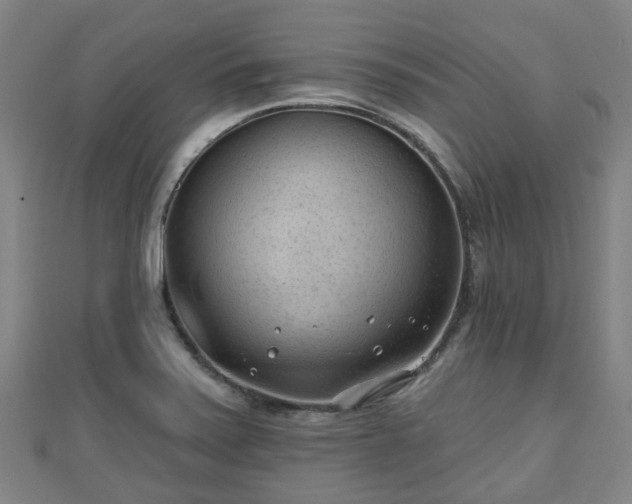 X0000110721371200906191457