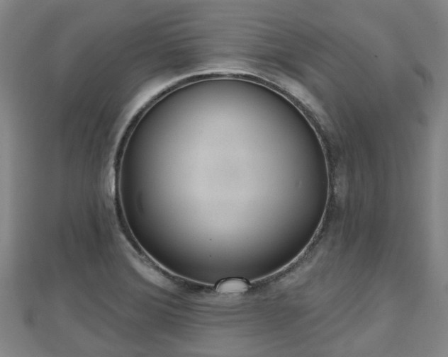 X0000110721372200906191457