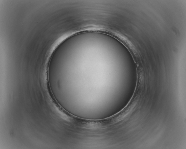 X0000110721375200906191457