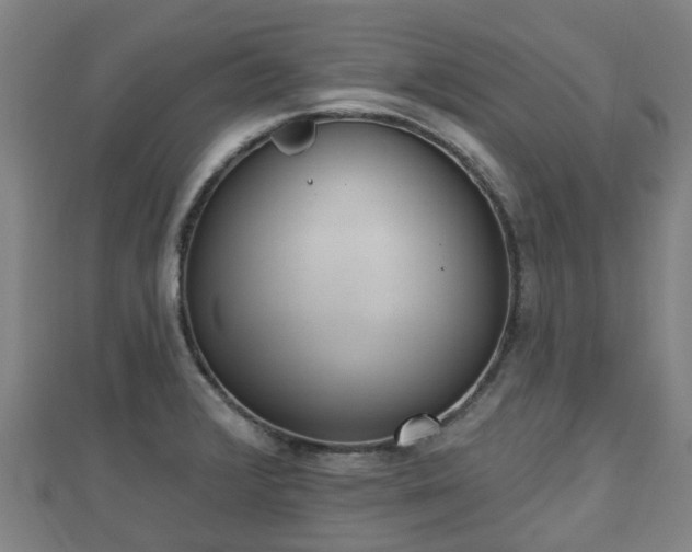 X0000110721376200906191457