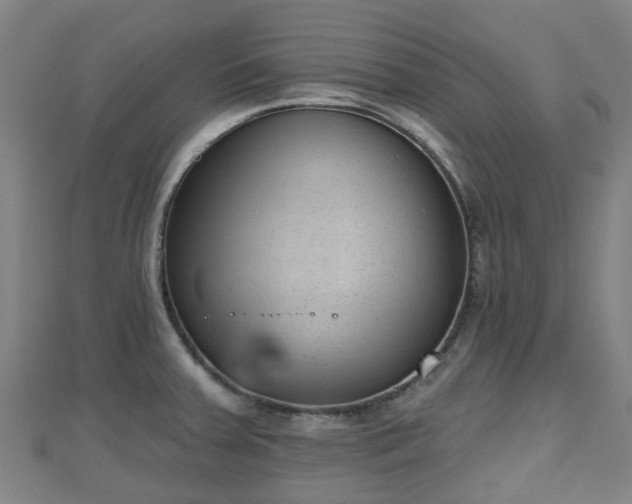 X0000110721379200906191457