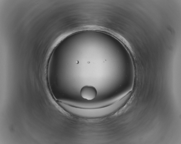 X0000110721381200906191457