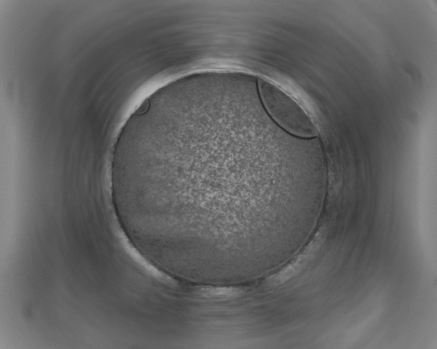 X0000110721382200906191457