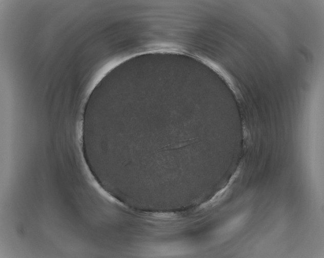 X0000110721383200906191457