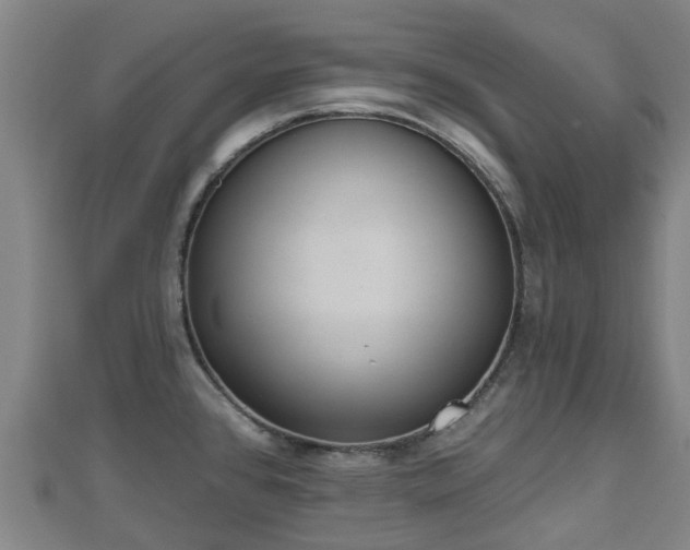 X0000110721384200906191457