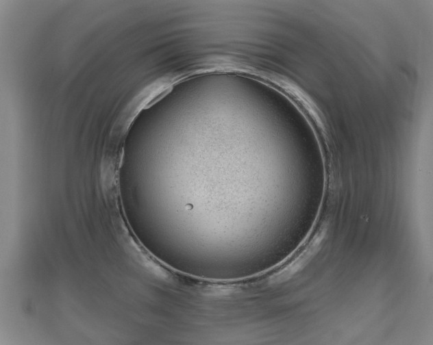 X0000110721385200906191457
