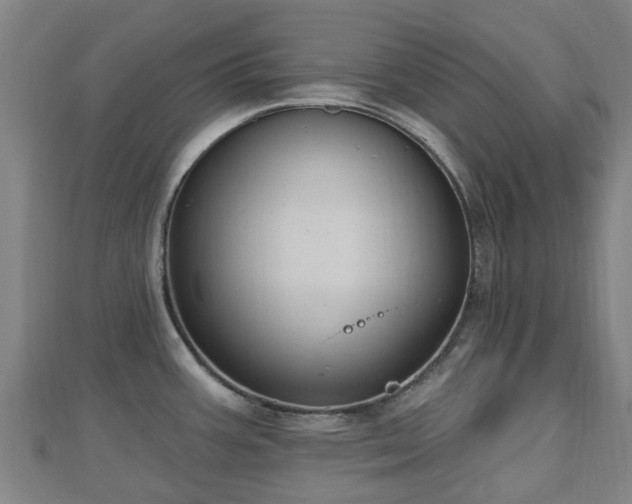 X0000110721387200906191457