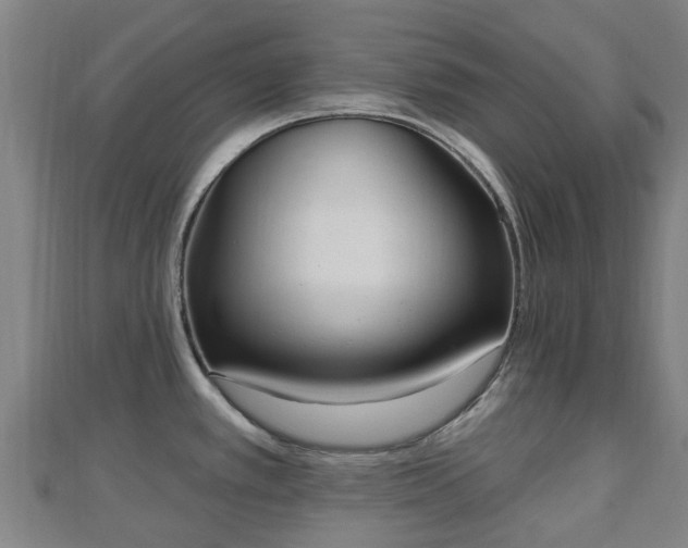 X0000110721389200906191457