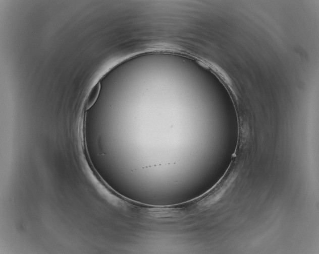 X0000110721391200906191456