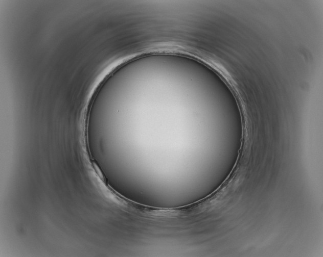 X0000110721392200906191456