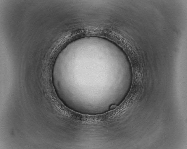X0000110721393200906191456