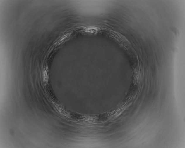 X0000110721394200906191456