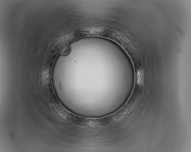 X0000110721395200906191456