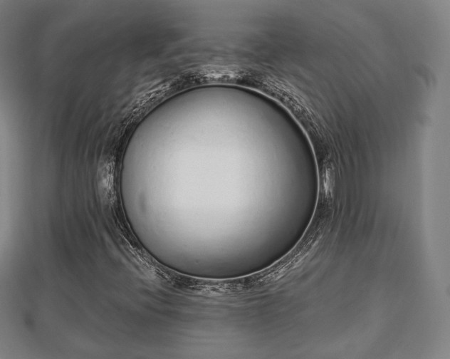 X0000110721396200906191456