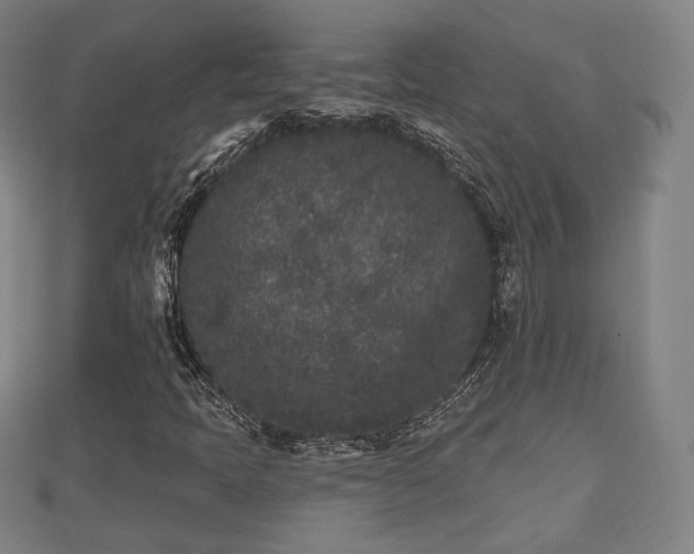 X0000110721397200906191456