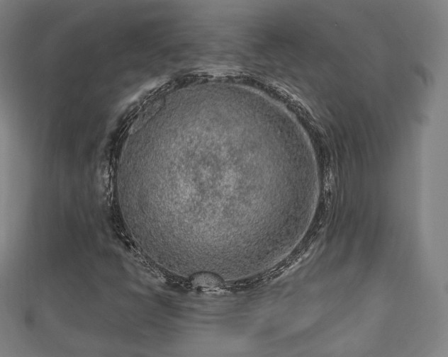 X0000110721398200906191456