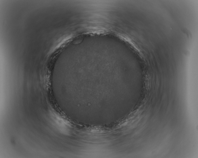 X0000110721399200906191456