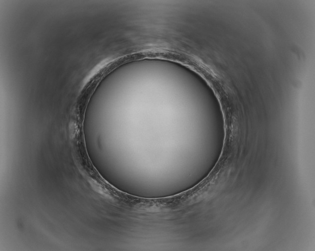 X0000110721400200906191456