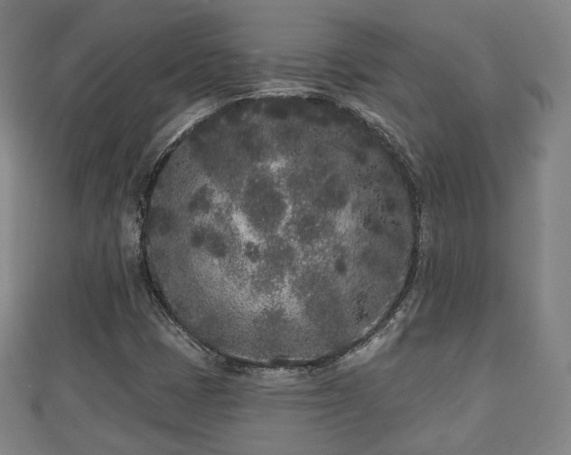 X0000110721401200906191456