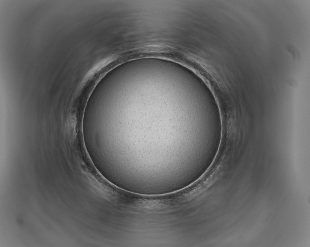 X0000110721402200906191456