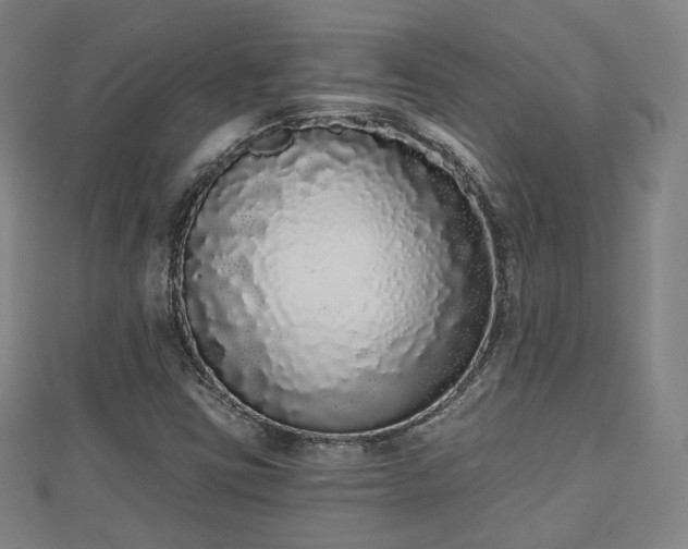 X0000110721403200906191456