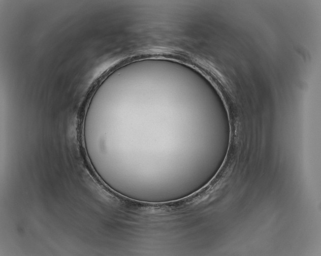 X0000110721404200906191456