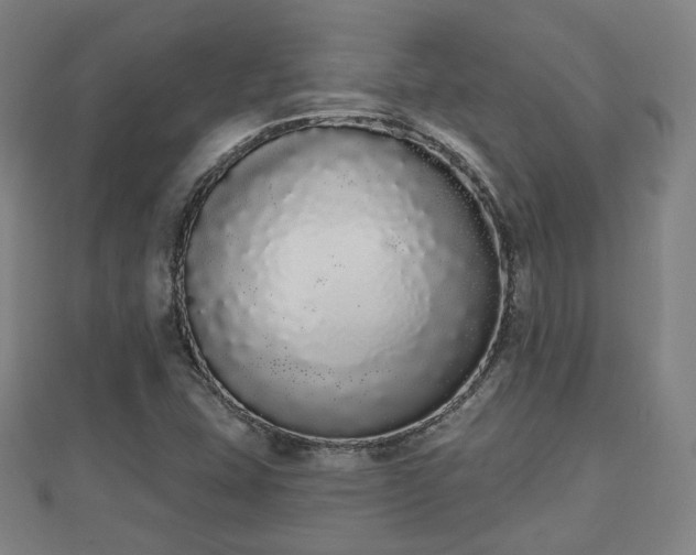 X0000110721407200906191456