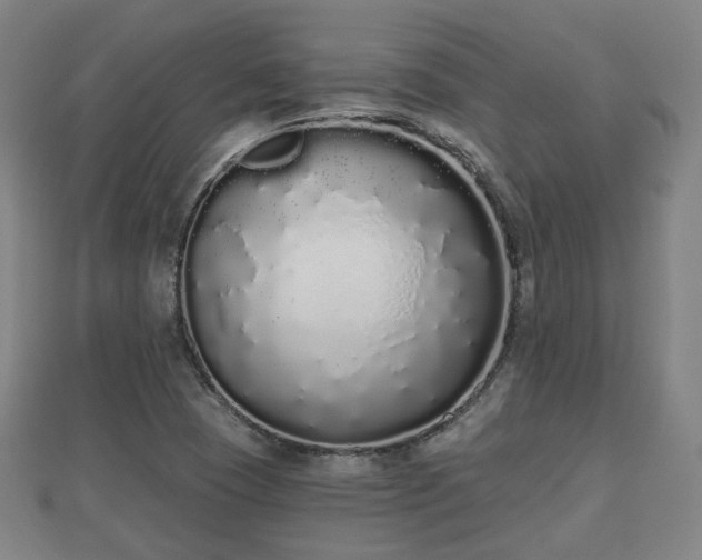 X0000110721409200906191456