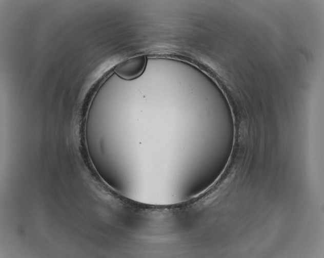 X0000110721410200906191456