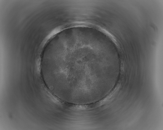 X0000110721411200906191456