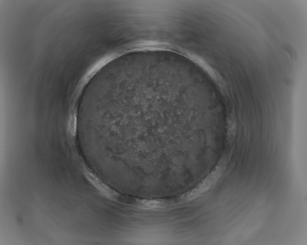 X0000110721413200906191456