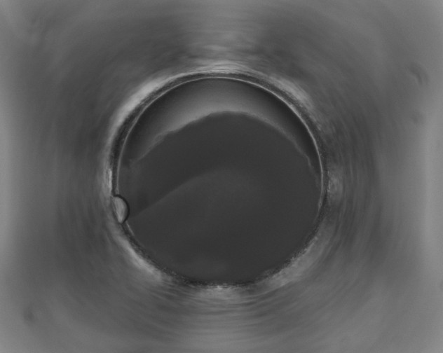 X0000110721414200906191456