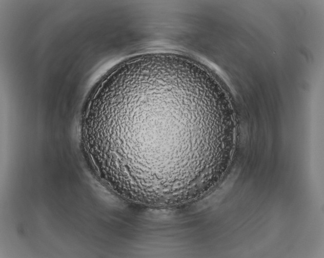 X0000110721415200906191456